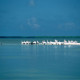 Xaloc Resort Holbox galeria-43