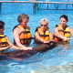 Sea Lion Discovery touch
