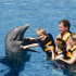 Dolphin Encounter Los Cabos