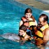 Dolphin Encounter Vallarta