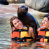 Sea Lion Discovery Cozumel