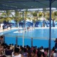 vallarta (10)