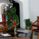 Hacienda Las Glorias lobby2