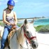 Paseo a Caballo en Cozumel