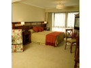 Img - Premium