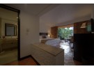 Img - Estándar vista al jardín