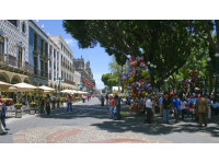 Logo tour Paseo en tranvía por la ciudad de Puebla