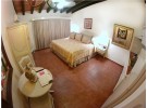 Img - De lujo vista al jardín