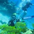 Buceo Certificado en Cozumel