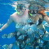 Snorkel en Cozumel