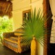 Hotel Villas Delfines Holbox otv9