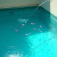 Hotel Amakal Huatulco 2