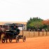 Tour a los Campos Menonitas