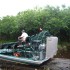 Los Everglades y Paseo en Hidrodeslizador