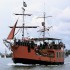 Everglades y Crucero por la Bahía