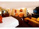 Img - Suite estudio