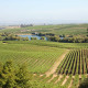 Wine Country Landscape,Tour para Amantes del Vino
