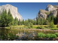 Logo tour La Experiencia Total de Yosemite