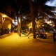 La Palapa Hamacal