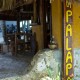 La Palapa Signl