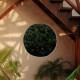 Casa Lupita Pared