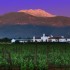 Wine Route