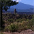 Uruapan y Ruinas del Volcán Paricutín