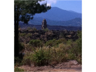 Logo tour Uruapan y Ruinas del Volcán Paricutín
