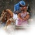 Arabian Nights Cena y Show