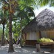 Private Cabanas con baño compartido Camping