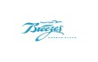 Logo Hotel Breezes Resort and Spa Trelawny