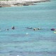 Snorkel (2)
