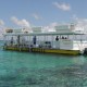 snorkel paradise boat