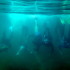 Snorkel en Isla Espíritu Santo