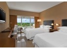 Img - Superior vista selva