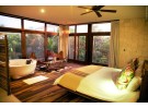 Img - Suite selva