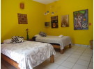 Img - Estándar