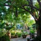 Jardin Macondo