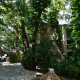 Jardines (5)