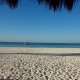 DSC00633