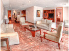 Img - Suite embajador