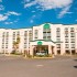 Wingate by Wyndham Chihuahua - imagen