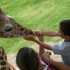Visita el Zoológico Guadalajara