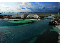 Foto del Hotel Grand Oasis Palm