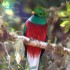 Expedición Quetzal