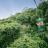 Reserva Selva Verde, Río Sarapiquí y Teleférico del Bosque Lluvioso
