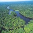 Recorrido por los Canales del Parque Nacional Tortuguero