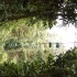 Teleférico del Bosque Lluvioso