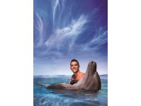Logo tour Nado Interactivo con Delfines Cancún