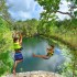 Tour Xenotes Oasis Maya
